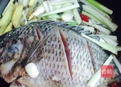 红烧罗非鱼的做法图解3