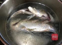鲫鱼豆腐汤的做法图解3