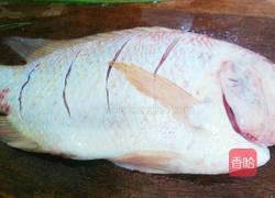 香豉蒸罗非鱼的做法图解2