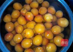 黄杏果酱的做法图解1
