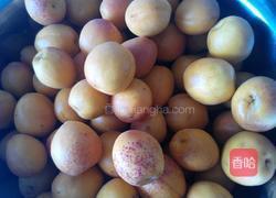 黄杏果酱的做法图解2