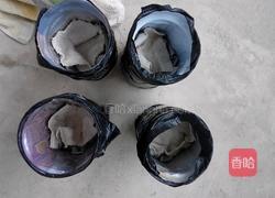 自制黄豆芽(饮料瓶)的做法图解5