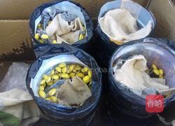 自制黄豆芽(饮料瓶)的做法图解7