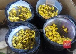 自制黄豆芽（饮料瓶）的做法图解8