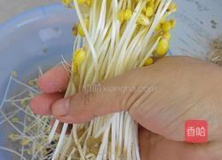 自制黄豆芽（饮料瓶）的做法图解9