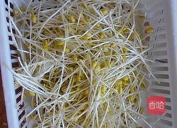 自制黄豆芽（饮料瓶）的做法图解10