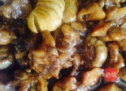 口蘑烧鸡块的做法图解9