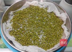 自制绿豆芽的做法图解3
