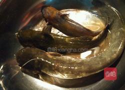 鲶鱼豆腐汤的做法图解2