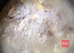 鲫鱼汤的做法图解2
