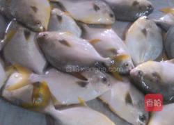 香煎金仓鱼的做法图解1