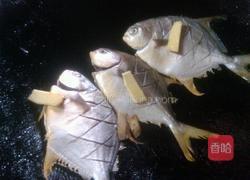 香煎金仓鱼的做法图解3