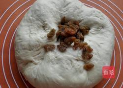 全麦葡萄干面包的做法图解4