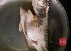 油皇鲈鱼的做法图解4
