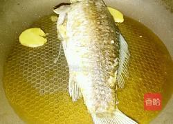 木瓜鲫鱼奶白汤的做法图解4