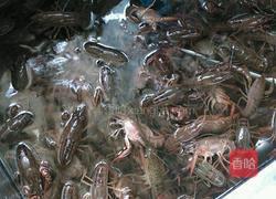 油焖小龙虾的做法图解1