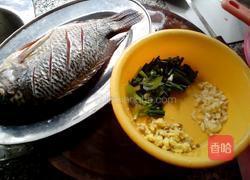 红烧非洲鲫鱼的做法图解1