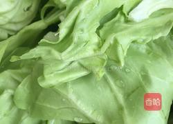 酱爆洋白菜的做法图解1