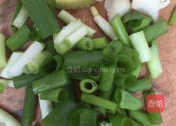 酱爆洋白菜的做法图解3