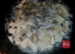 花蛤豆腐汤的做法图解6