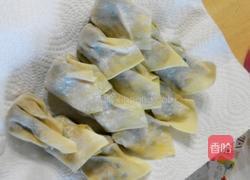 菜肉魚尾雲吞的做法图解12