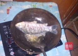 青椒红烧鱼的做法图解4