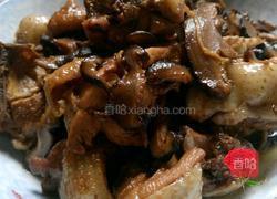 小鸡炖香菇的做法图解8