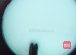 生蚝紫菜汤的做法图解4