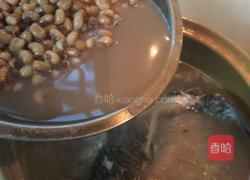 鲫鱼赤豆汤的做法图解5