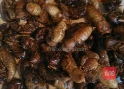 油炸知了猴的做法图解4