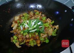 辣椒炒肉的做法图解10