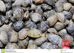 青岛名吃 辣炒蛤蜊 的做法图解1