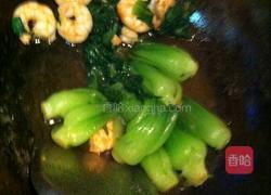 小油菜炒虾仁的做法图解7