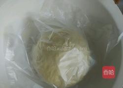 胡蘿卜肉餡餃子的做法圖解10