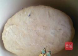 双色土司的做法图解2