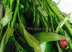 蒜香空心菜的做法图解1