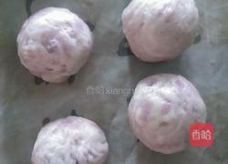 紫薯酥的做法图解8