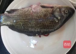 豆腐鲫鱼汤的做法图解2