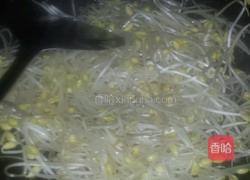 炒黄豆芽的做法图解3