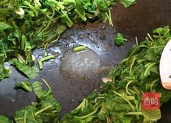 冬菜肉末炒苋菜的做法图解5