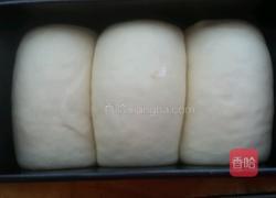原味吐司面包的做法图解14
