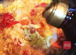 西红柿蛋花汤的做法图解8