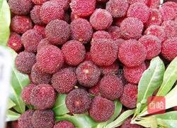 自制杨梅酒的做法图解1