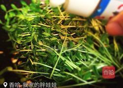 蒜香豆苗的做法图解5