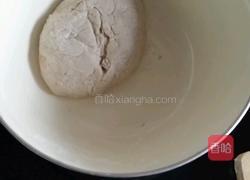 胡萝卜牛肉饺的做法图解4