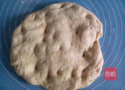 黄油椰丝面包卷的做法图解8