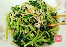 虾皮拌鸡毛菜的做法图解7
