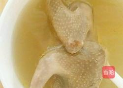 清炖鸽子汤的做法图解3