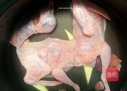 清炖鸽子汤的做法图解2
