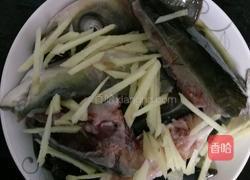 剁椒鱼头的做法图解1